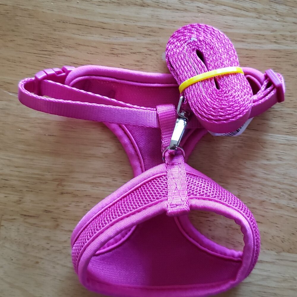NWOT Pink Halter with 5ft leash. Small